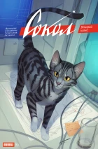 Сокол. Спецвыпуск. Второй шанс