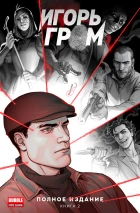 «Игорь Гром» Полное издание. Книга 2
