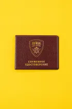 Обложка на студенческий «Удостоверение Димы Дубина»